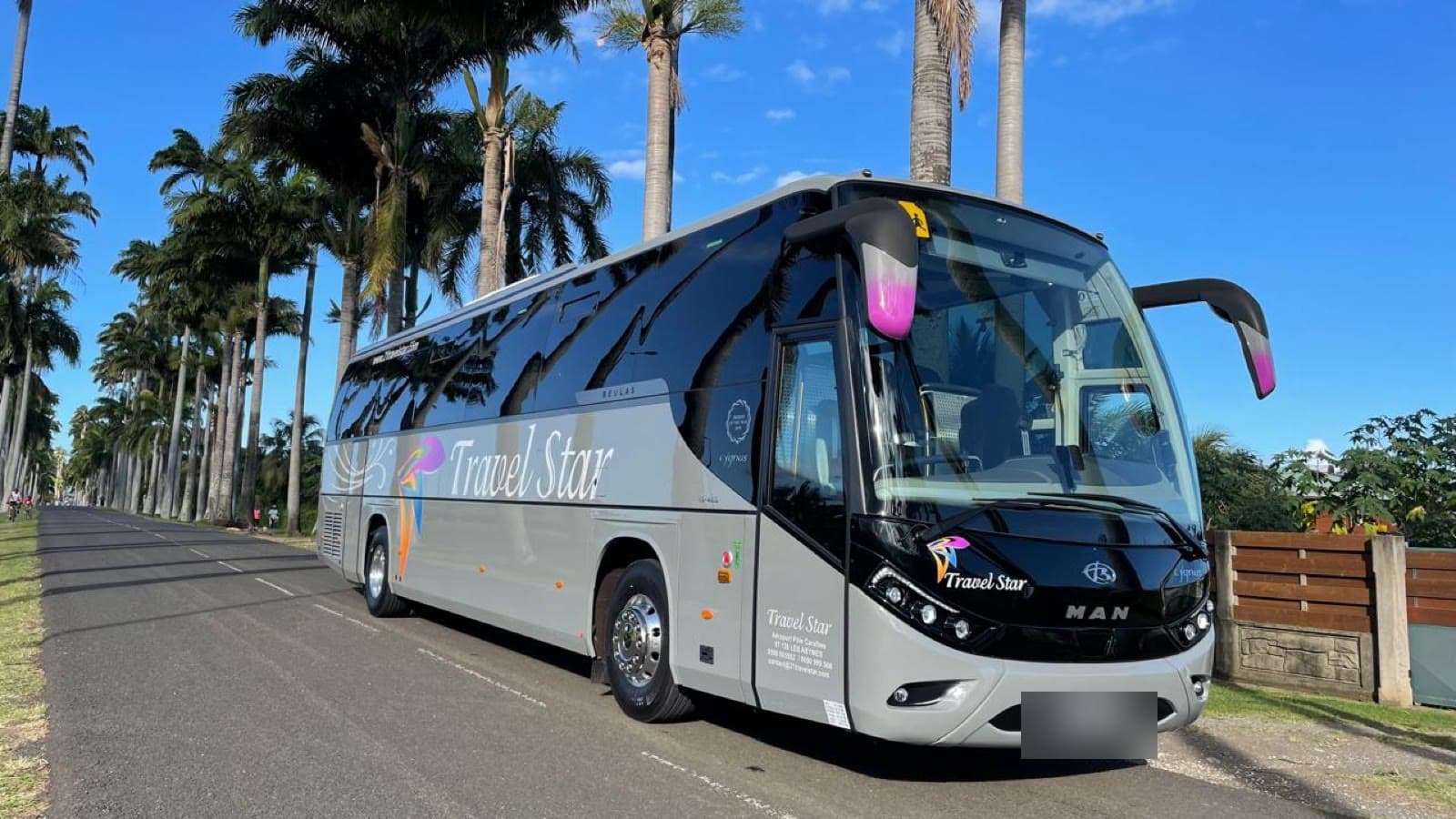 Autocar MAN de la flotte Travel Star de profil, sur une allée de palmiers.