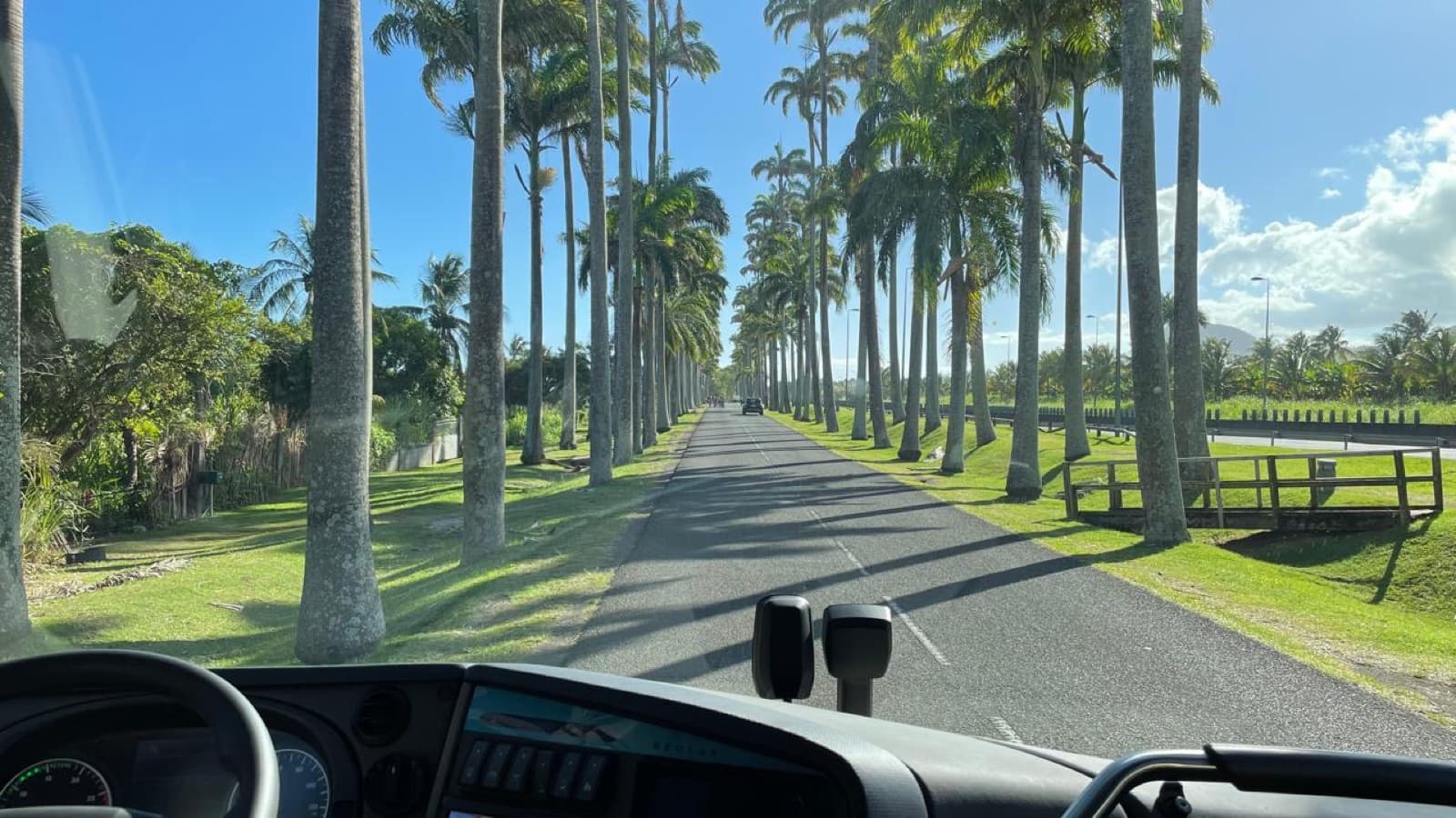 Vue depuis la cabine de l'autocar sur l'allée de palmiers royaux (allée Dumanoir), en Guadeloupe.
